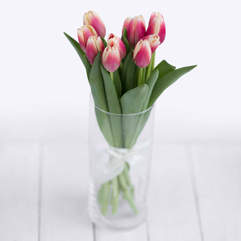 Тюльпаны. Букет из 11 красно-кремовых тюльпанов - Купить цветы