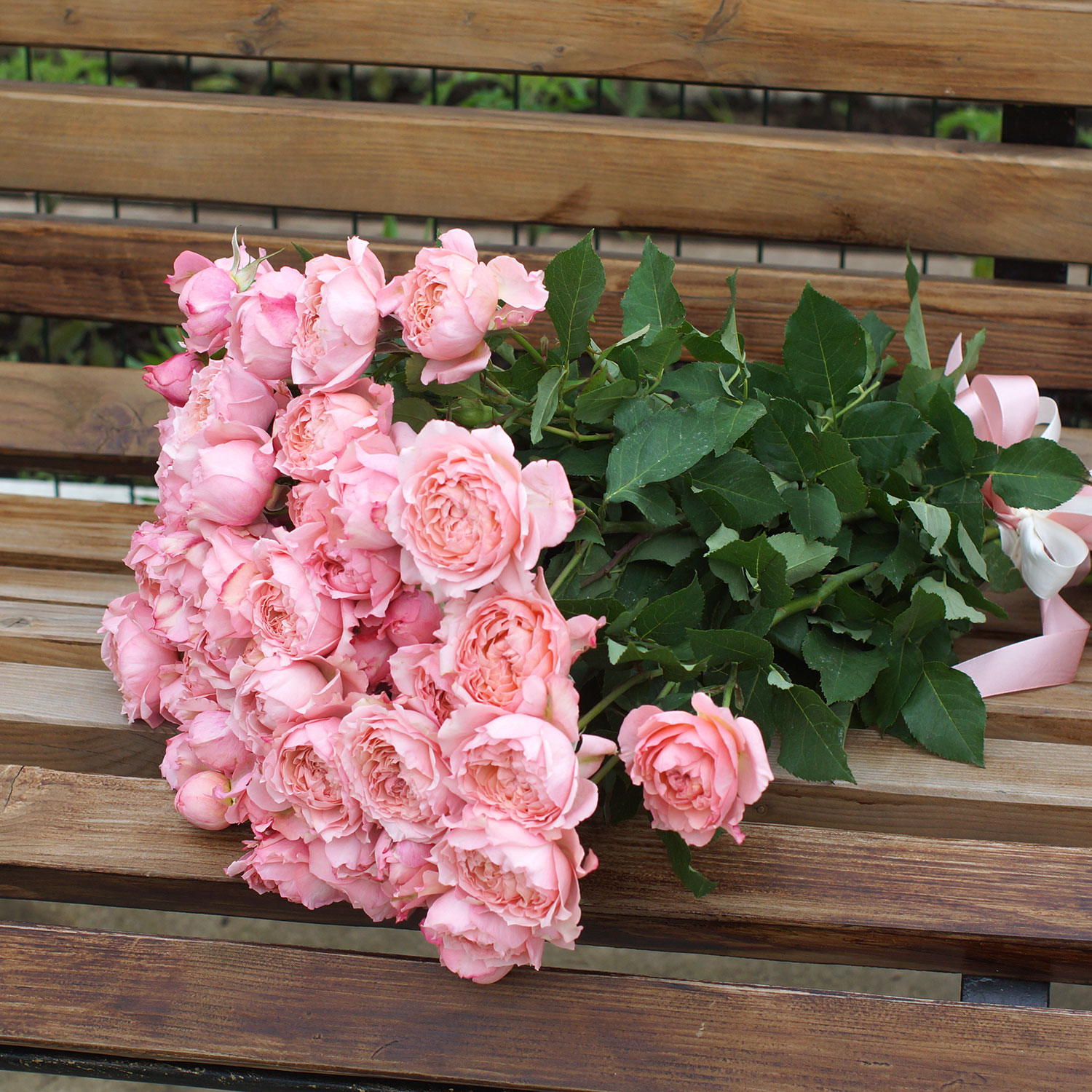 Розовые розы. 15 кустовых пионовидных роз Джульетта - Купить цветы