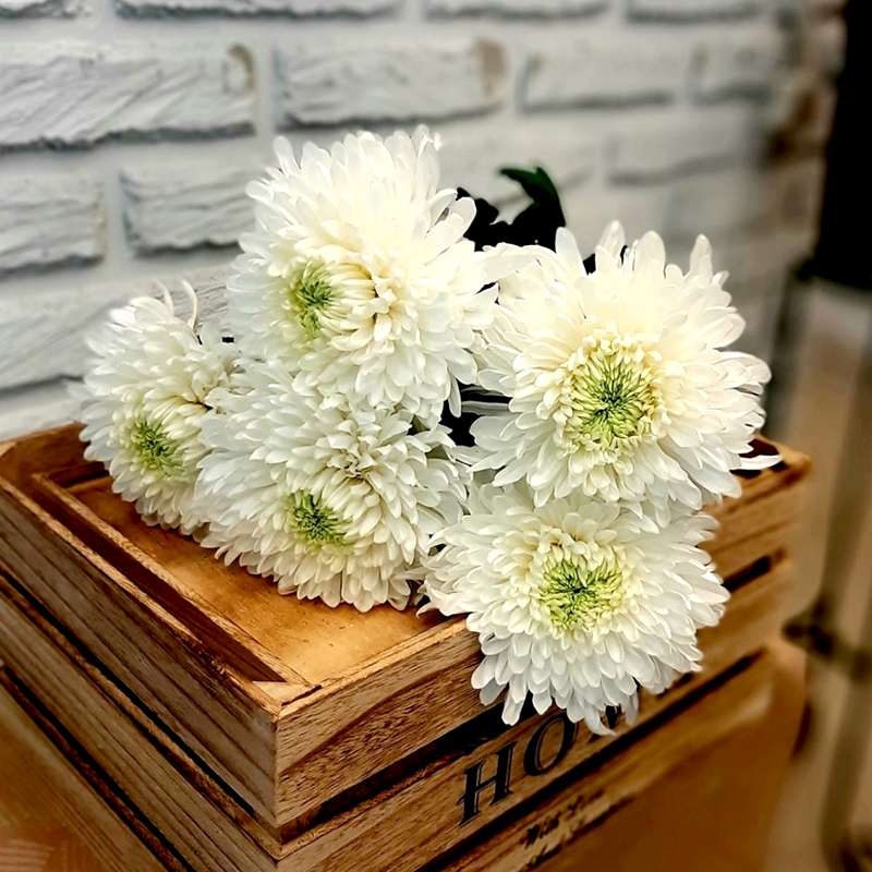 Хризантемы. Букет из 5 белых хризантем "Магнум" - Купить цветы