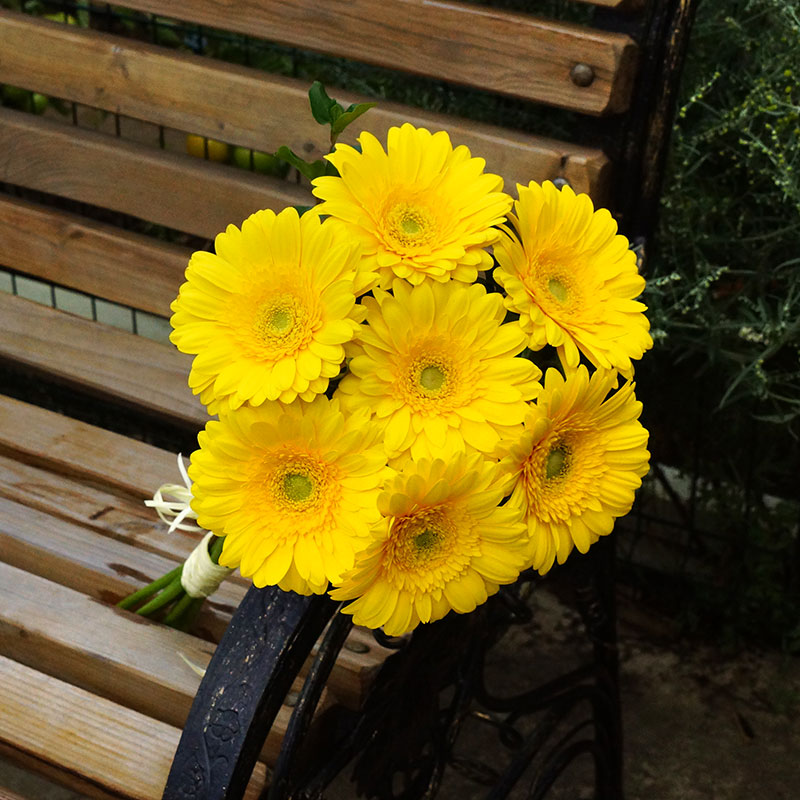 Доставка цветов в Москве. Герберы желтые - Купить цветы.