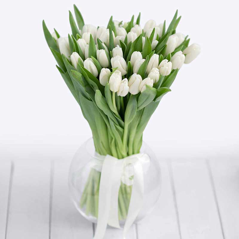 Тюльпаны поштучно. Белые тюльпаны поштучно - Купить цветы