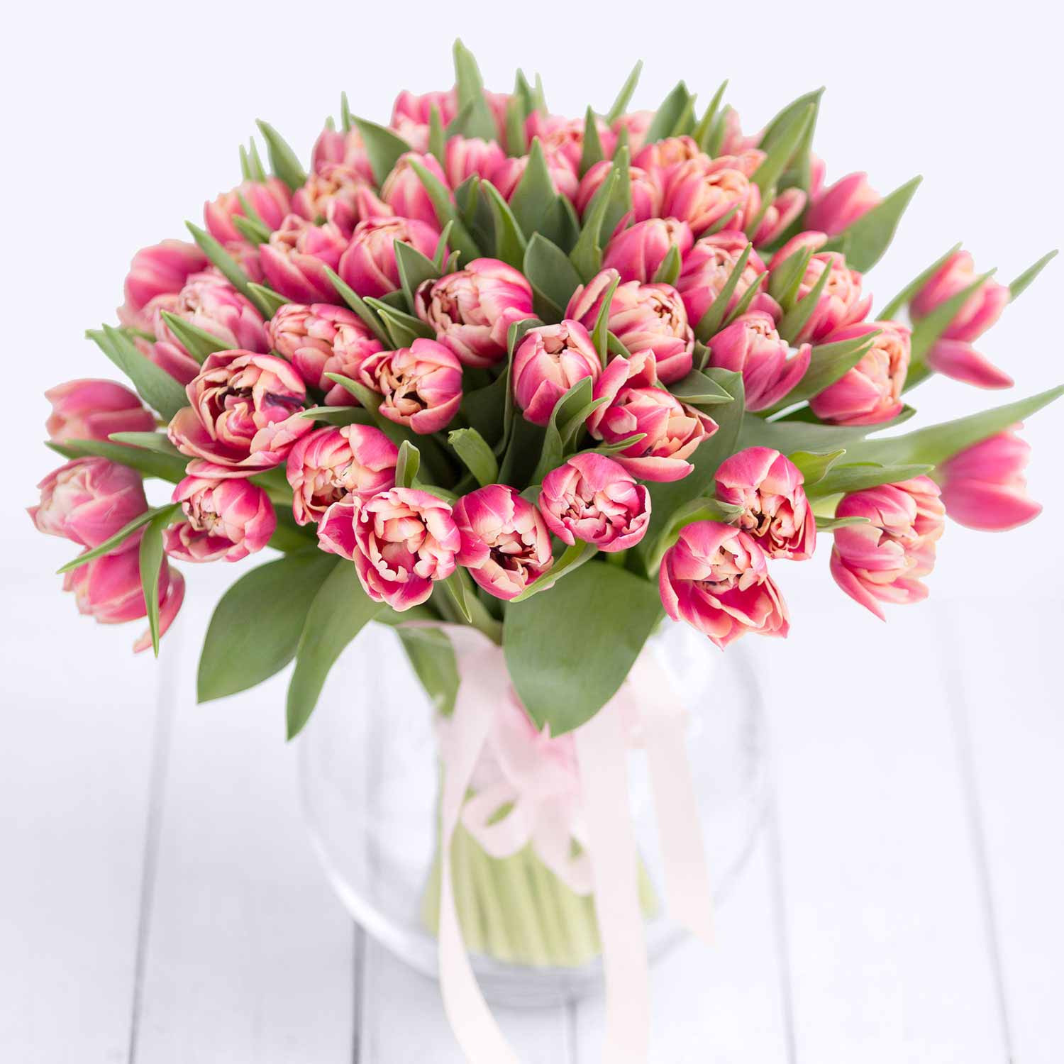 Пионовидные тюльпаны Коламбусс поштучно - Купить цветы