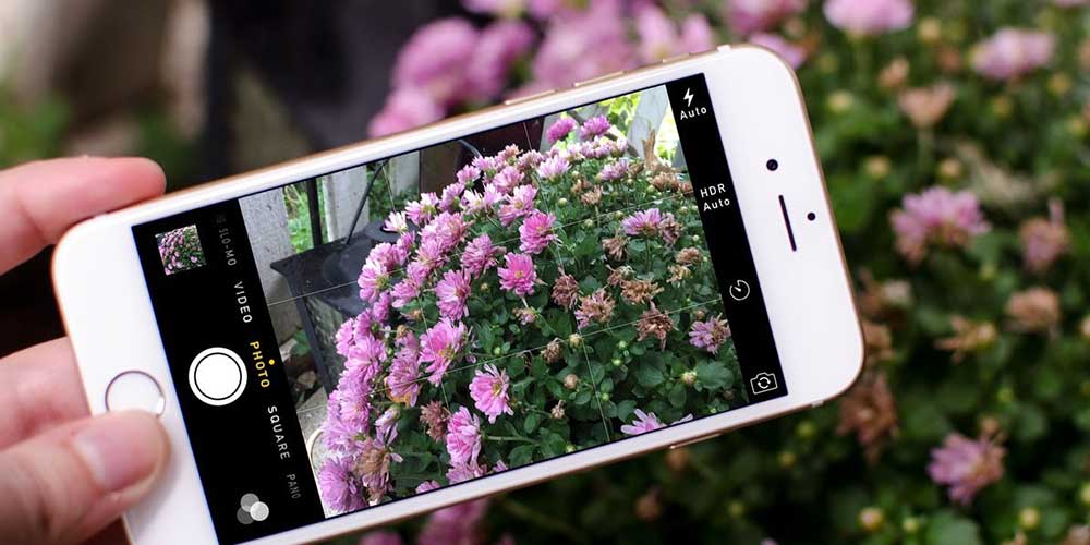 15 простых советов, как фотографировать цветы Вашим смартфоном 
