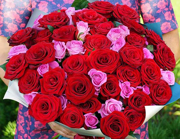51 красная и розовая роза 60 см. Описание сортов в букете из красных и розовых кенийских роз..
