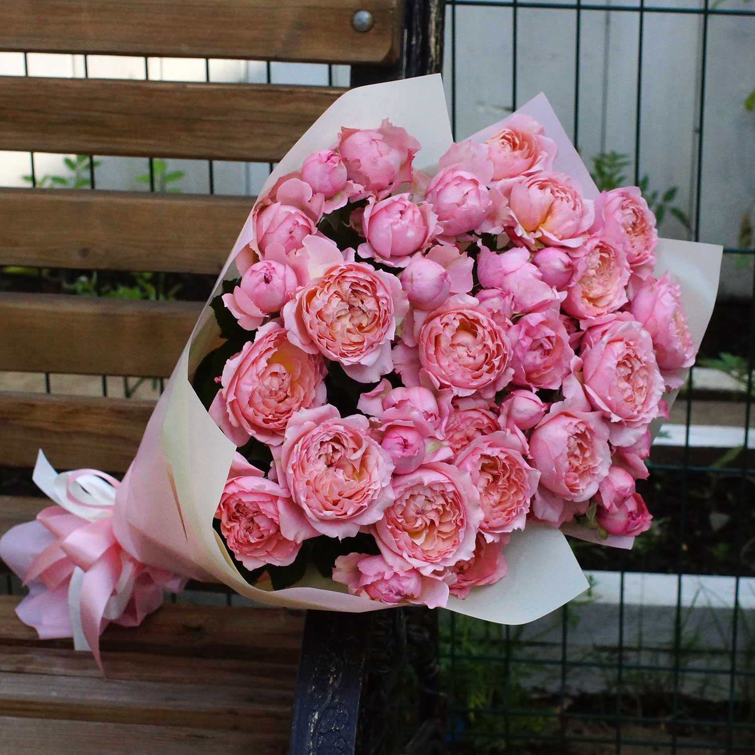 Пионовидные розы. 11 кустовых роз Джульетта - Купить цветы