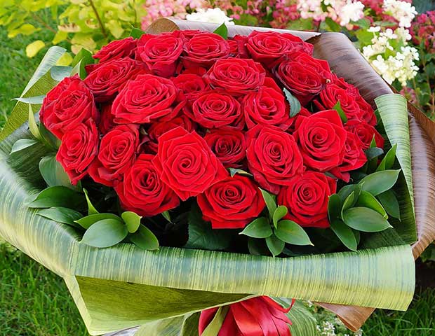 51 красная роза 60 см. Описание сорта роз Ред Наоми.