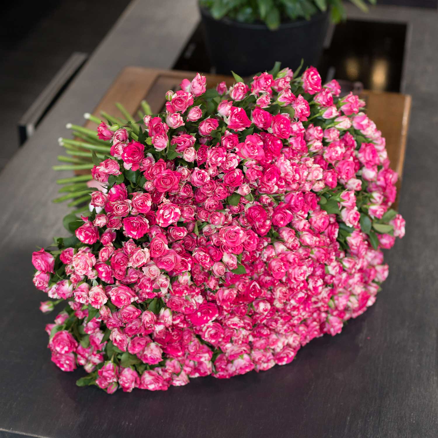 Кустовая роза Файер Воркс 50/60 см 101 шт - Купить цветы
