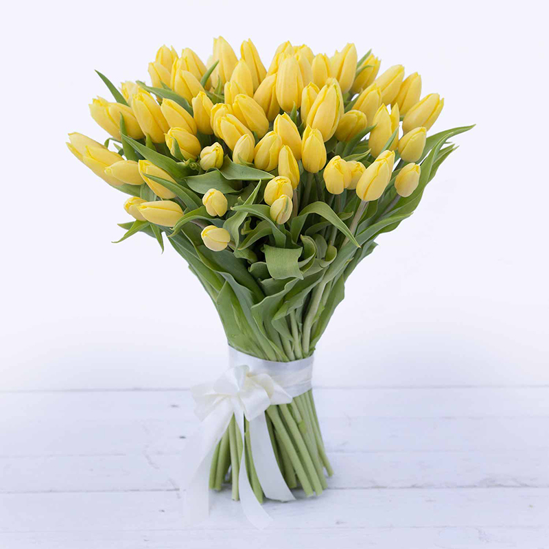 Тюльпаны. Букет из 65 желтых тюльпанов - Купить цветы