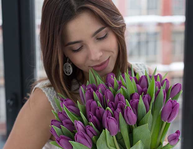 Фиолетовые тюльпаны поштучно. Фиолетовые тюльпаны на языке цветов.