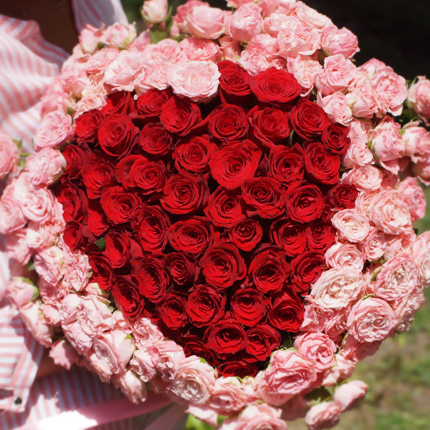 Сердце из роз Мисс Совершенство - Купить цветы