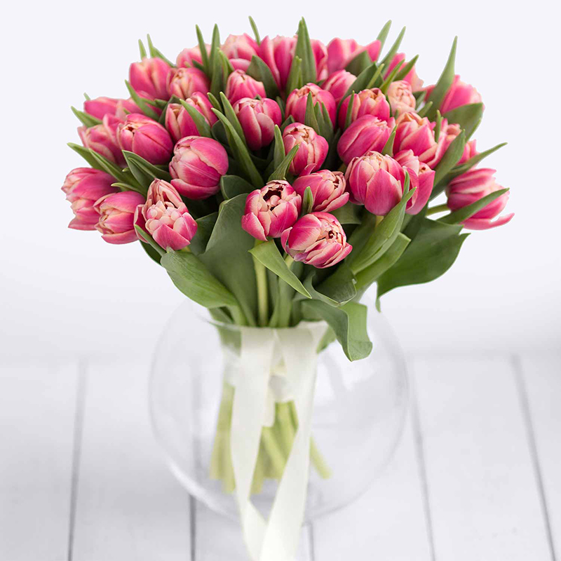 Тюльпаны. Букет из 35 пионовидных тюльпанов Коламбусс - Купить цветы