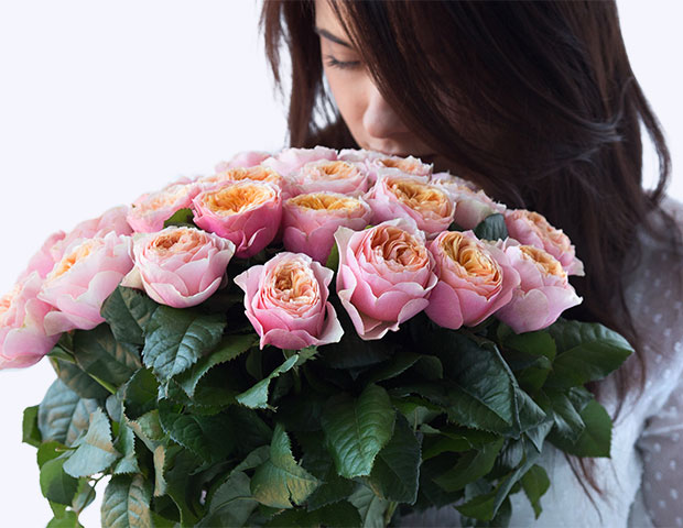 Пионовидные розы Вувузела 45/50 см поштучно. Количество роз в букете.