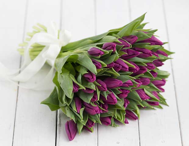 Фиолетовые тюльпаны поштучно. Количество соцветий в букете из фиолетовых тюльпанов.