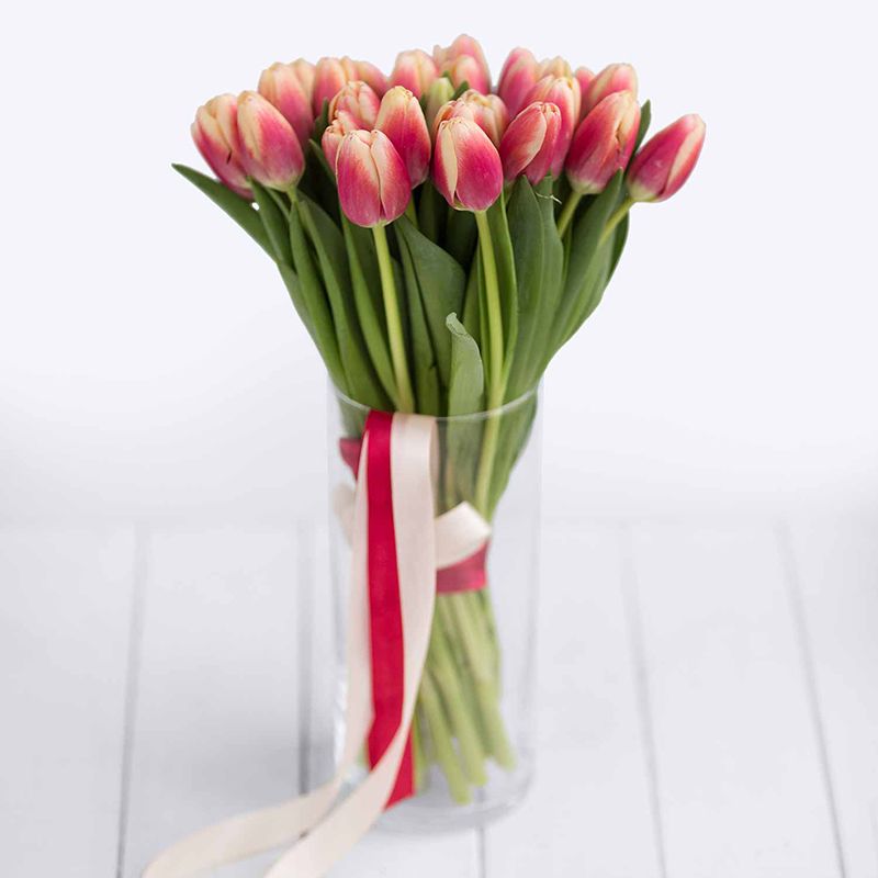 Тюльпаны. Букет из 31 красно-кремовых тюльпанов - Купить цветы