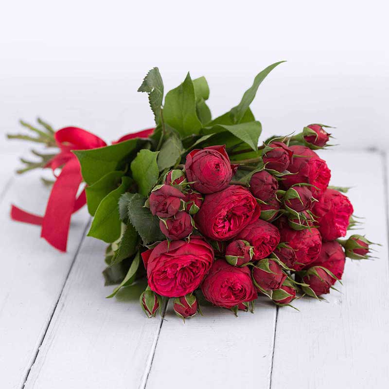 Красные розы. Розы Пиано Фриленд поштучно - Купить цветы