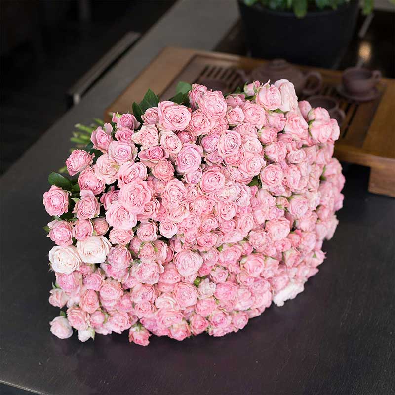 Кустовые розы. Кустовая пионовидная роза Мадам Бомбастик 101 шт - Купить цветы
